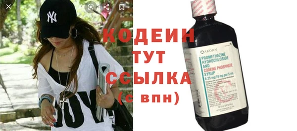 дурь Сатка